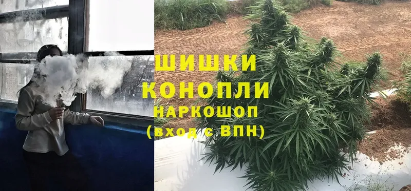 Каннабис SATIVA & INDICA  гидра ссылка  Балашов 